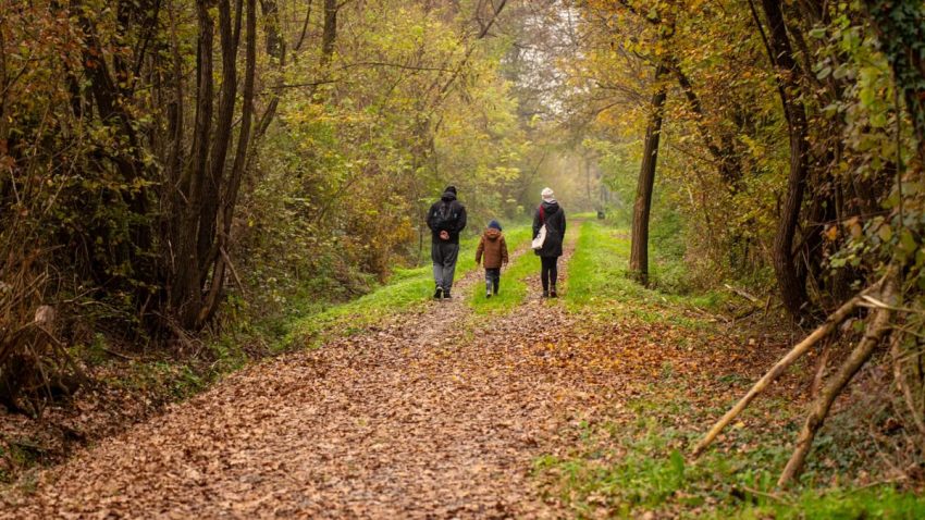Family walking on a scenic autumn forest path in rural Croatia.